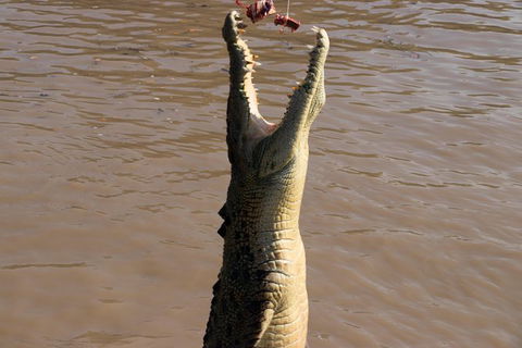 Litchfield Dreams 1 Day National Park Waterfall Swimming & Jumping Croc Cruise - Accommodation Rockhampton 1