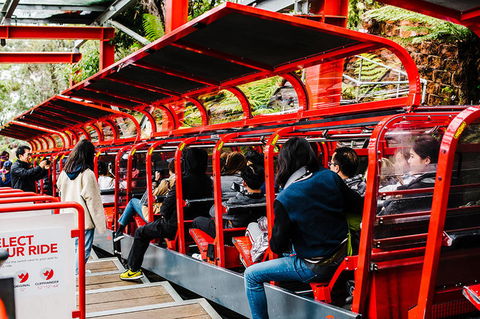 All-Inclusive Blue Mountains Day Trip With River Cruise - Accommodation Rockhampton 7