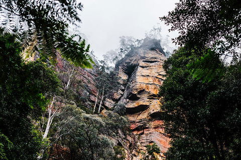 All-Inclusive Blue Mountains Day Trip With River Cruise - Accommodation Rockhampton 3