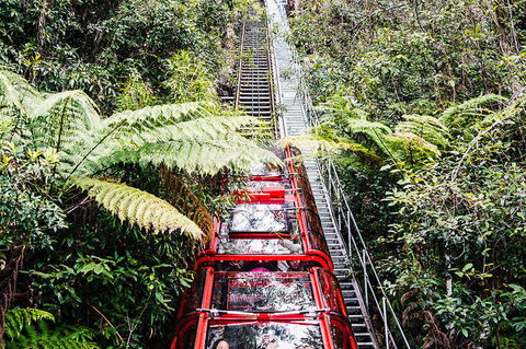 All-Inclusive Blue Mountains Day Trip With River Cruise - Accommodation Rockhampton 6