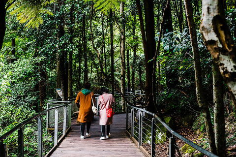 All-Inclusive Blue Mountains Day Trip With River Cruise - Accommodation Rockhampton 10