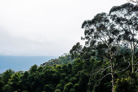 All-Inclusive Blue Mountains Day Trip With River Cruise - Accommodation Rockhampton 18
