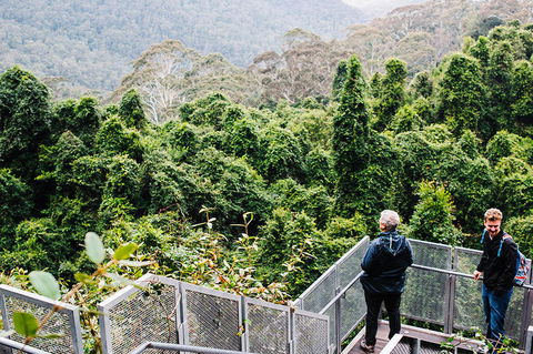 All-Inclusive Blue Mountains Day Trip With River Cruise - Accommodation Rockhampton 2