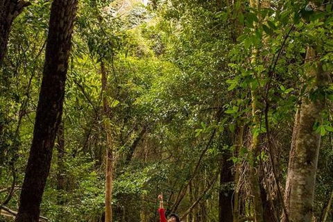 All-Inclusive Blue Mountains Day Trip With River Cruise - Accommodation Rockhampton 26