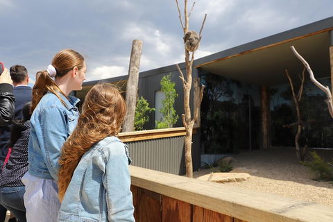 All-Inclusive Blue Mountains Day Trip With River Cruise - Accommodation Rockhampton 23