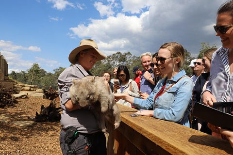 All-Inclusive Blue Mountains Day Trip With River Cruise - Accommodation Rockhampton 27