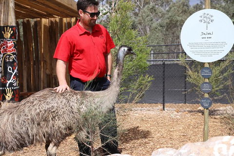 All-Inclusive Blue Mountains Day Trip With River Cruise - Accommodation Rockhampton 24