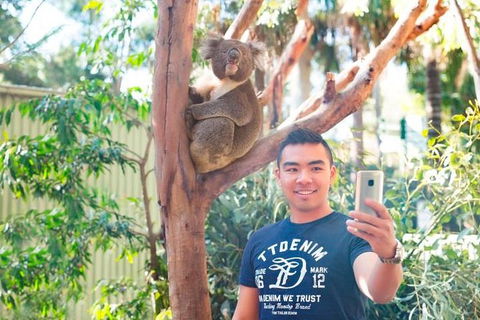 All Inclusive Full-Day Blue Mountains Trip From Sydney - Accommodation Rockhampton 1