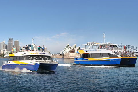 Go Sydney Explorer Pass With Hop-on Hop-Off Bus, Taronga Zoo And More - Accommodation Rockhampton 7