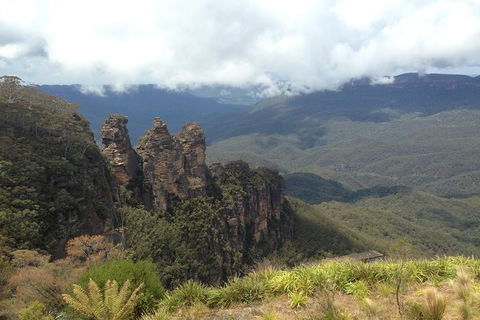 All-Inclusive Blue Mountains Tour In A Luxury Mercedes Sprinter - Accommodation Rockhampton 11