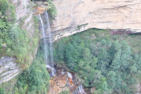 All-Inclusive Blue Mountains Tour In A Luxury Mercedes Sprinter - Accommodation Rockhampton 17