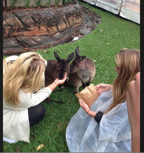 Port Stephens Day Tour With Dolphin Watching, Sandboarding & Australian Wildlife - Accommodation Rockhampton 15