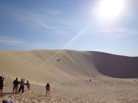 Port Stephens Day Tour With Dolphin Watching, Sandboarding & Australian Wildlife - Accommodation Rockhampton 21