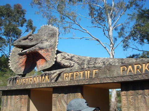 Port Stephens Day Tour With Dolphin Watching, Sandboarding & Australian Wildlife - Accommodation Rockhampton 7