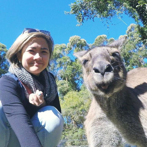 Port Stephens Day Tour With Dolphin Watching, Sandboarding & Australian Wildlife - Accommodation Rockhampton 12