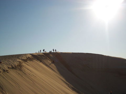 Port Stephens Day Tour With Dolphin Watching, Sandboarding & Australian Wildlife - Accommodation Rockhampton 14