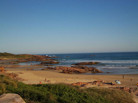 Port Stephens Day Tour With Dolphin Watching, Sandboarding & Australian Wildlife - Accommodation Rockhampton 4