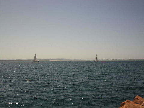 Port Stephens Day Tour With Dolphin Watching, Sandboarding & Australian Wildlife - Accommodation Rockhampton 3
