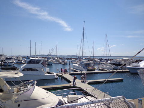Port Stephens Day Tour With Dolphin Watching, Sandboarding & Australian Wildlife - Accommodation Rockhampton 24