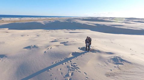 Port Stephens Day Tour With Dolphin Watching, Sandboarding & Australian Wildlife - Accommodation Rockhampton 10