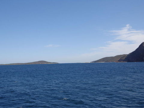 Port Stephens Day Tour With Dolphin Watching, Sandboarding & Australian Wildlife - Accommodation Rockhampton 23