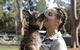 Port Stephens Day Tour With Dolphin Watching, Sandboarding & Australian Wildlife - thumb 1