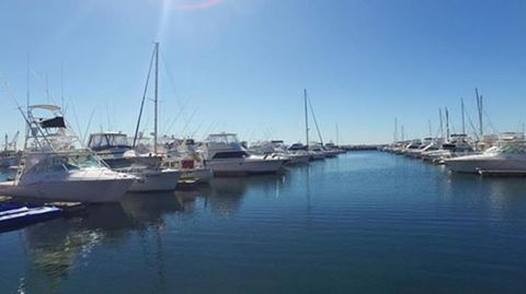 Port Stephens Day Tour With Dolphin Watching, Sandboarding & Australian Wildlife - Accommodation Rockhampton 9