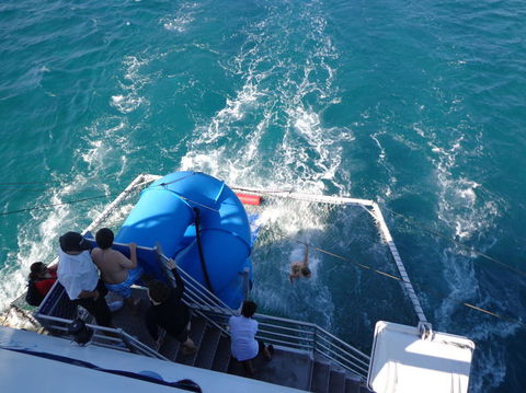 Port Stephens Day Tour With Dolphin Watching, Sandboarding & Australian Wildlife - Accommodation Rockhampton 22
