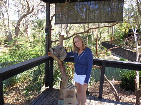 Port Stephens Day Tour With Dolphin Watching, Sandboarding & Australian Wildlife - Accommodation Rockhampton 25