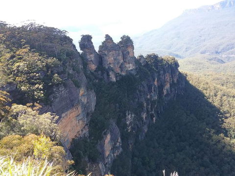 Blue Mountains Nature And Wildlife Day Tour From Sydney - Accommodation Rockhampton 8