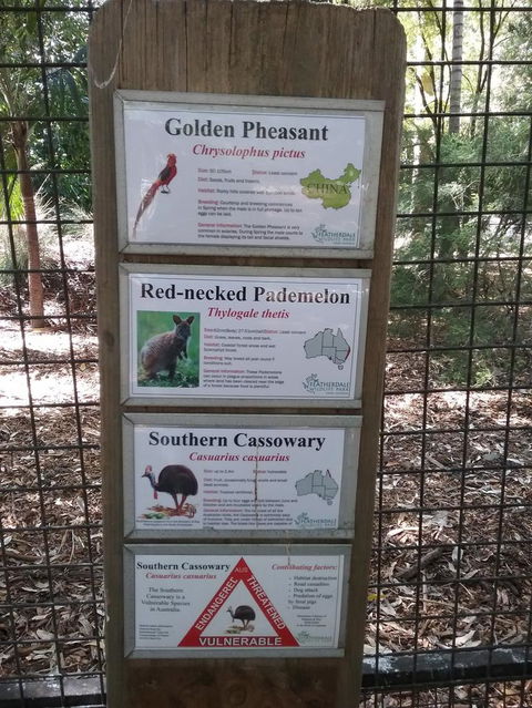 Blue Mountains Nature And Wildlife Day Tour From Sydney - Accommodation Rockhampton 3
