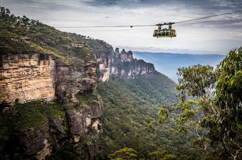 Blue Mountains Nature And Wildlife Day Tour From Sydney - Accommodation Rockhampton 19