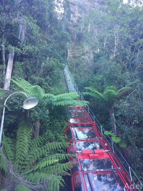 Blue Mountains Nature And Wildlife Day Tour From Sydney - Accommodation Rockhampton 14