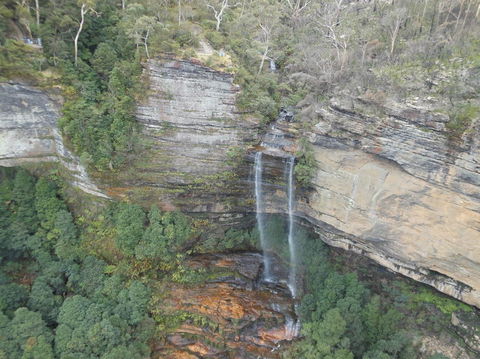 Blue Mountains Nature And Wildlife Day Tour From Sydney - Accommodation Rockhampton 13