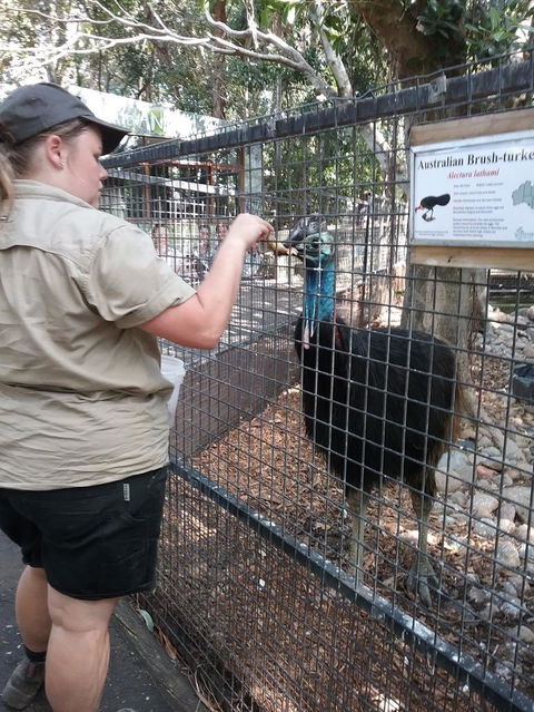 Blue Mountains Nature And Wildlife Day Tour From Sydney - Accommodation Rockhampton 4