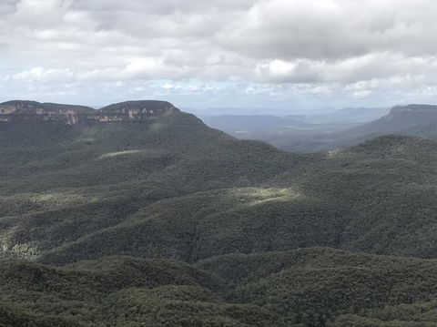 Blue Mountains Nature And Wildlife Day Tour From Sydney - Accommodation Rockhampton 2