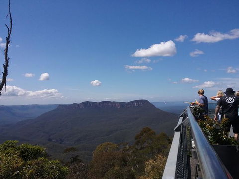 Blue Mountains Nature And Wildlife Day Tour From Sydney - Accommodation Rockhampton 6