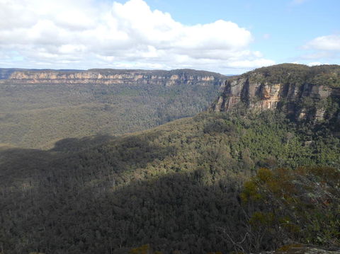 Blue Mountains Nature And Wildlife Day Tour From Sydney - Accommodation Rockhampton 12