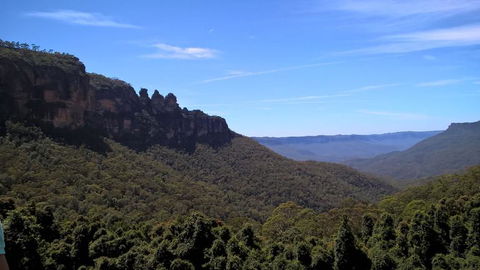 Blue Mountains Nature And Wildlife Day Tour From Sydney - Accommodation Rockhampton 9