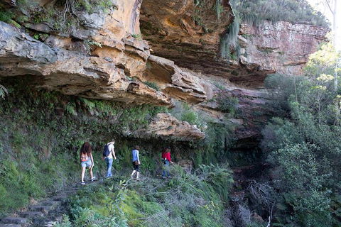 Blue Mountains Nature And Wildlife Day Tour From Sydney - Accommodation Rockhampton 40
