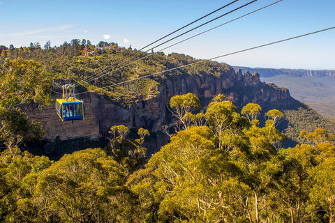 Blue Mountains Nature And Wildlife Day Tour From Sydney - Accommodation Rockhampton 38