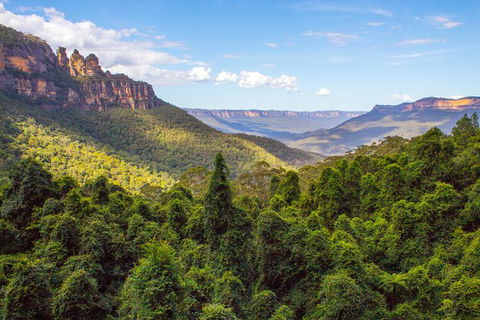 Blue Mountains Nature And Wildlife Day Tour From Sydney - Accommodation Rockhampton 32