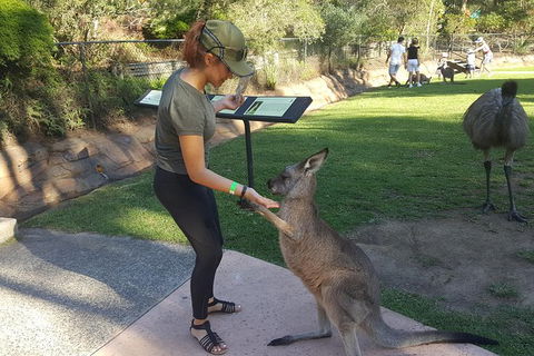 Sydney Private Day Tours - Central Coast, Beaches, Plus Wildlife & Reptile Park - Accommodation Rockhampton 0