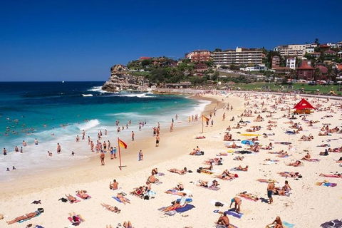 Sydney Half Day Highlights - Luxury Private Tour - Morning Or Afternoon Avail - Accommodation Rockhampton 13