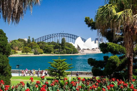 Sydney Half Day Highlights - Luxury Private Tour - Morning Or Afternoon Avail - Accommodation Rockhampton 6