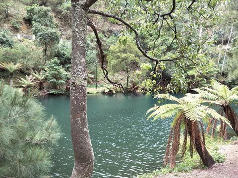 Jenolan Caves And Blue Mountains Tour From Sydney - Accommodation Rockhampton 2