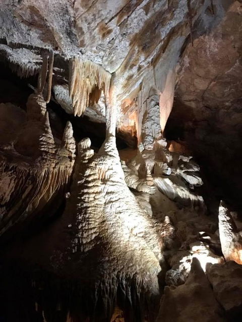 Jenolan Caves And Blue Mountains Tour From Sydney - Accommodation Rockhampton 14
