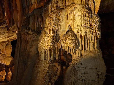 Jenolan Caves And Blue Mountains Tour From Sydney - Accommodation Rockhampton 9