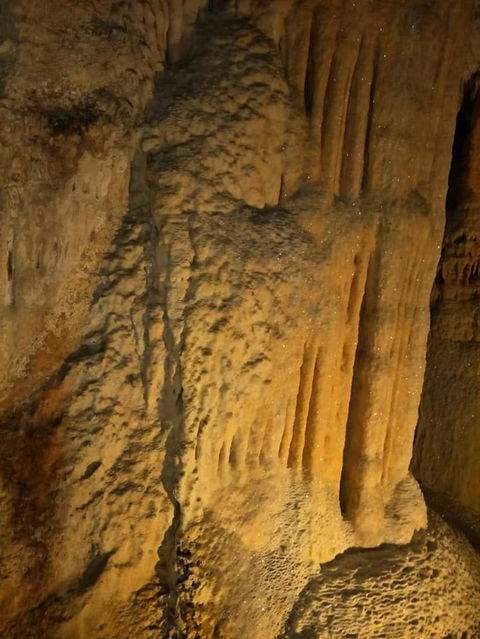 Jenolan Caves And Blue Mountains Tour From Sydney - Accommodation Rockhampton 7