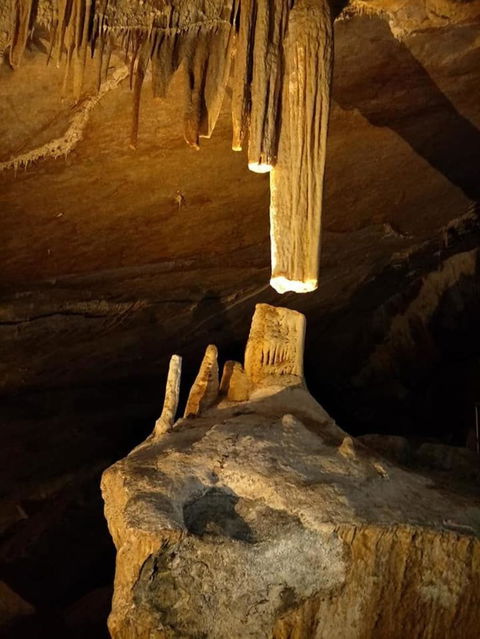 Jenolan Caves And Blue Mountains Tour From Sydney - Accommodation Rockhampton 8